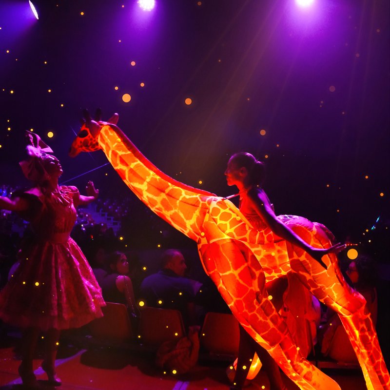 Circo Alegría espectáculo